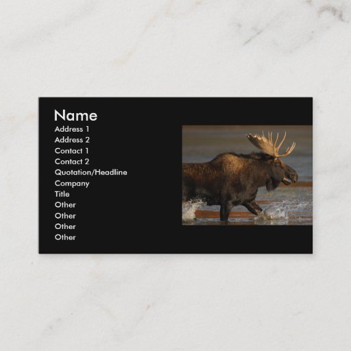Customizable profile or business card, moose