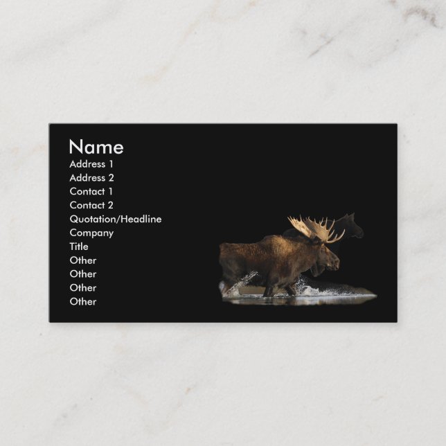 profile or business card, moose splash card (Front)