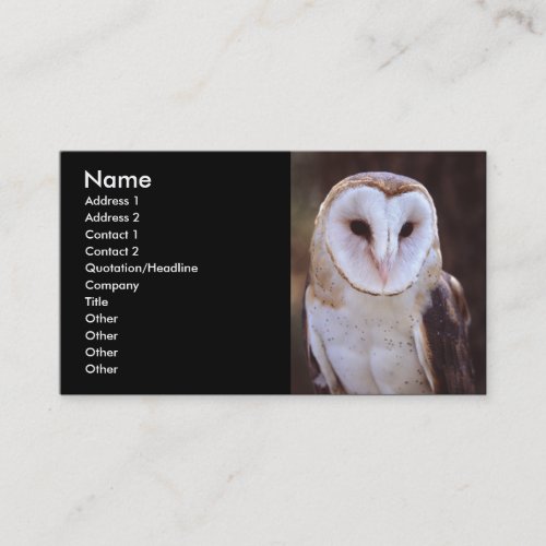 profile or business card, owl