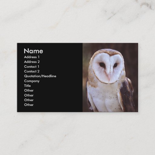 Customizable profile or business card, owl