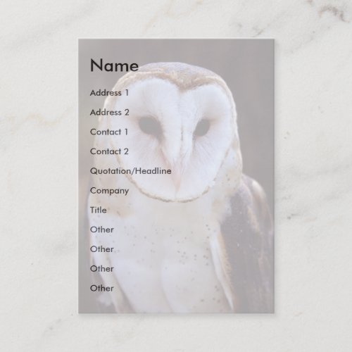 profile or business card, owl