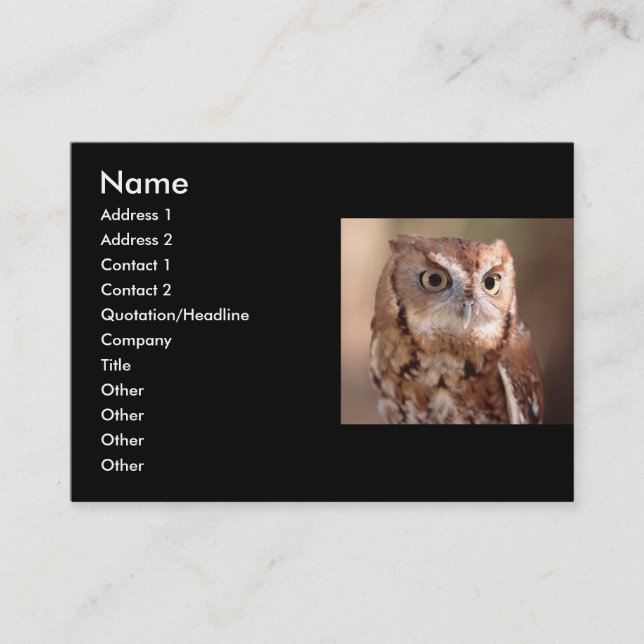 profile or business card, owl business card (Front)
