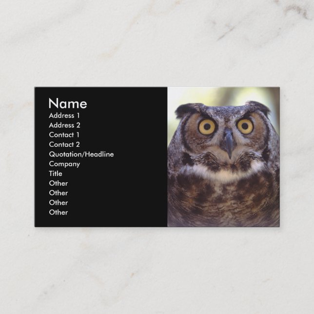 profile or business card, owl card (Front)
