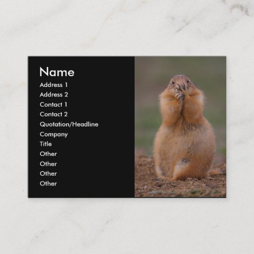 profile or business card, prairie dog