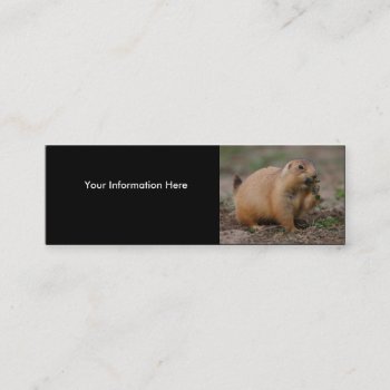 Profile Or Business Card  Prairie Dog Mini Business Card by WorldDesign at Zazzle