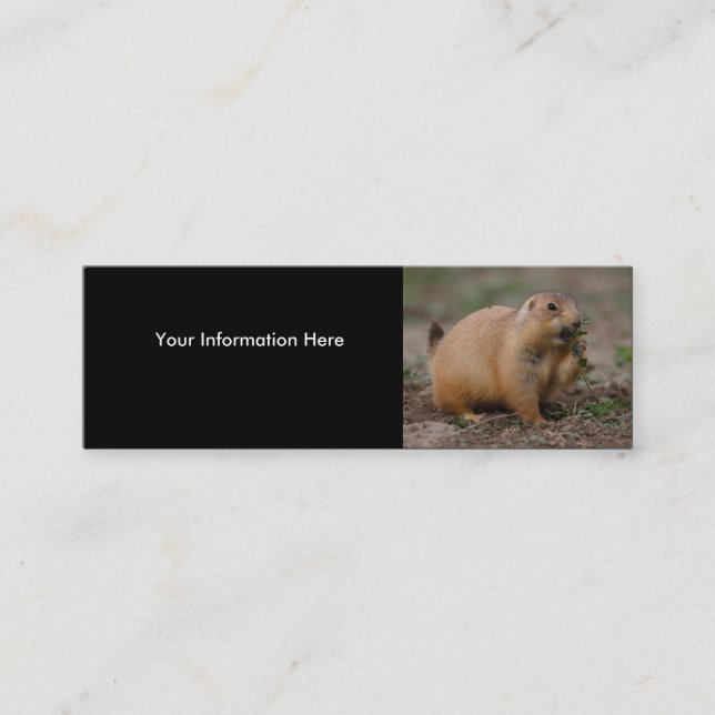 profile or business card, prairie dog mini business card (Front)