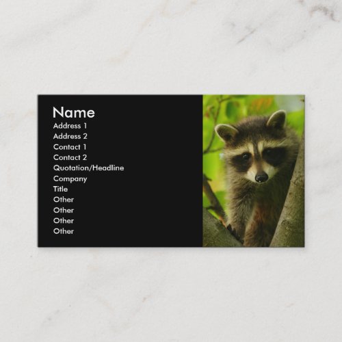 profile or business card, raccoon