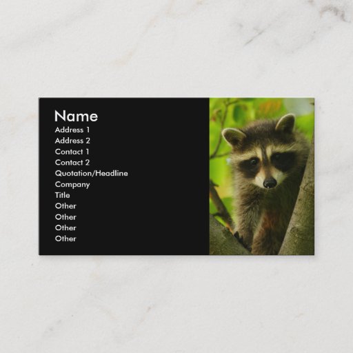 Customizable profile or business card, raccoon