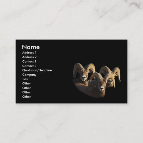 profile or business card, rams