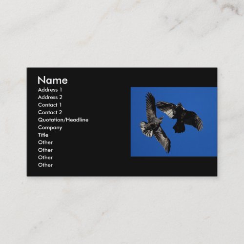 profile or business card, ravens