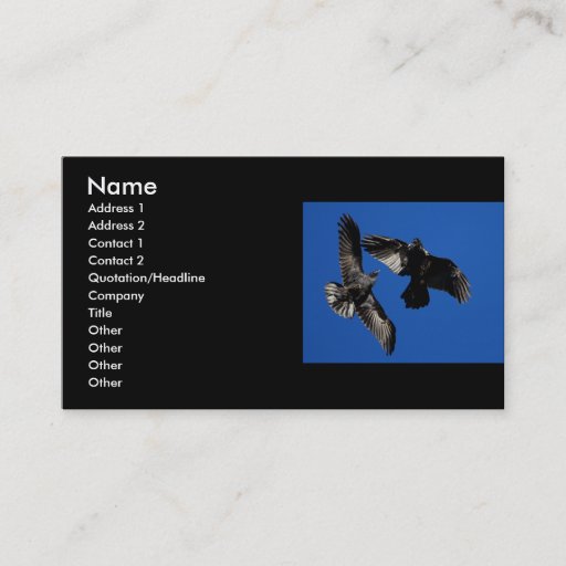 Customizable profile or business card, ravens