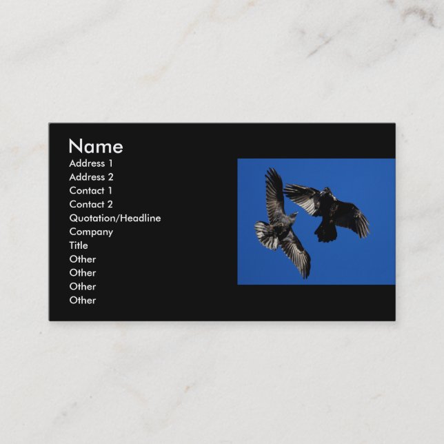 profile or business card, ravens business card (Front)
