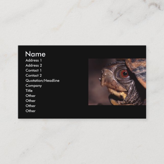 profile or business card, turtle business card (Front)