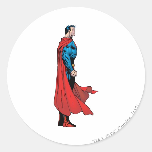 Profile View Classic Round Sticker (Front)