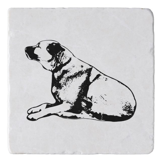 Profiled Quiet Trivet (Front)