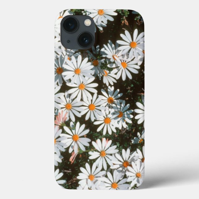 Profusion Of White Daises (Asteraceae) Case-Mate iPhone Case (Back)