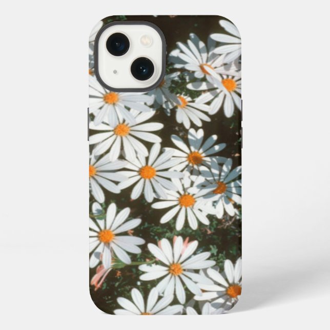 Profusion Of White Daises (Asteraceae) Iphone Case (Back)