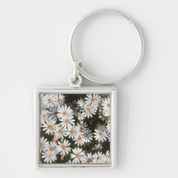 Profusion Of White Daises (asteraceae) Keychain by OneWithNature at Zazzle