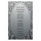 Program | Metallic Etched Silver Look