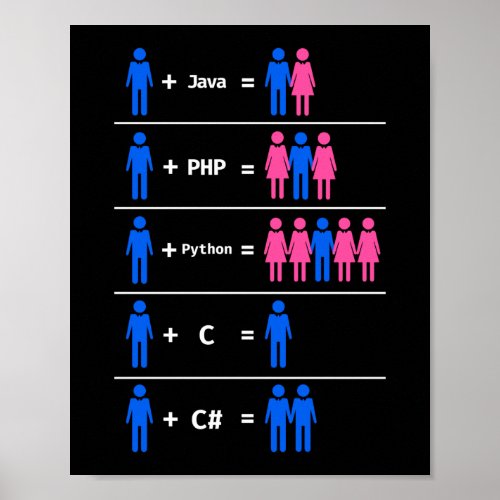 Programmer Coding C Python PHP Java Attracts Men Poster