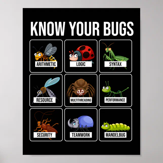 Programmer Coding Know Your Bugs Poster | Zazzle