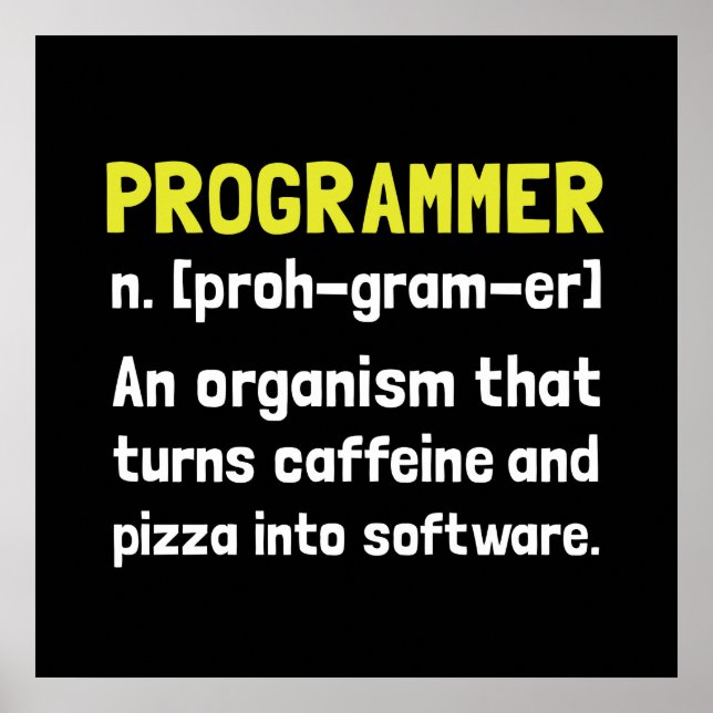 Programmer Definition Poster (Front)