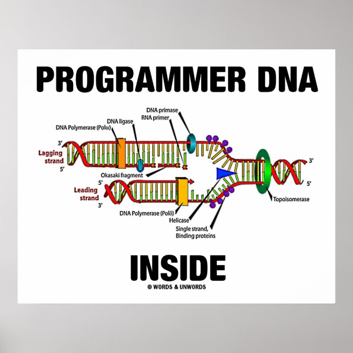 Programmer DNA Inside (DNA Replication) Posters