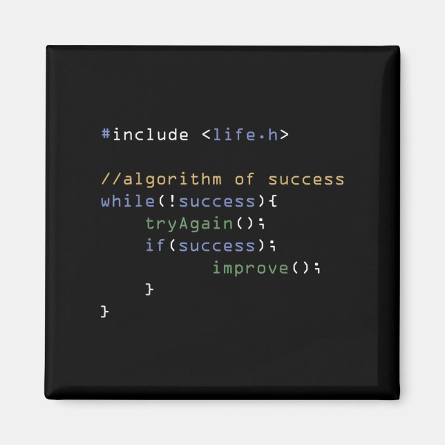 Programmers Computer Science Meme Coding Humor  Magnet (Front)