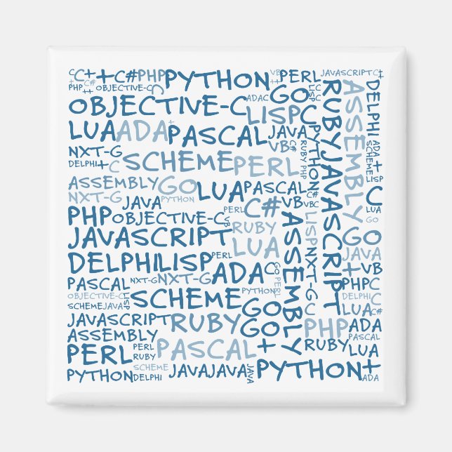 Programmers Have Multiple Programming Skills Magnet (Front)