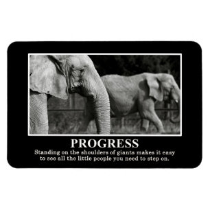 Progress by Standing on the Shoulders of Giants Magnet