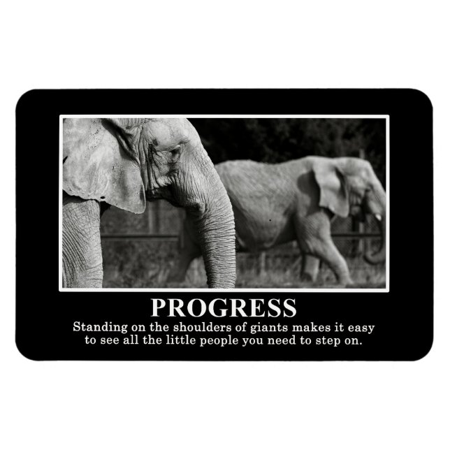 Progress by Standing on the Shoulders of Giants Magnet (Horizontal)