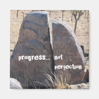 Progress not perfection magnet