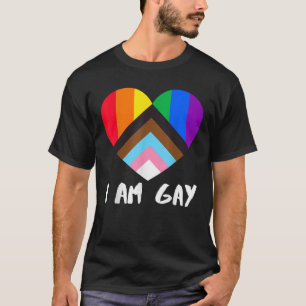 Progress Pride Flag Heart Inclusivity I Am Gay T S T-Shirt