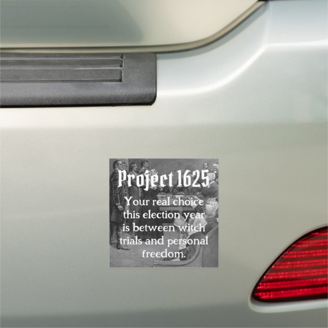 Project 1625  car magnet (In Situ)