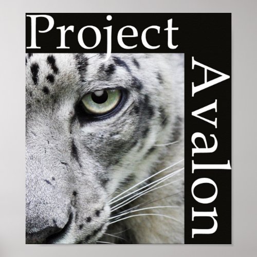 Project Avalon Poster Dark