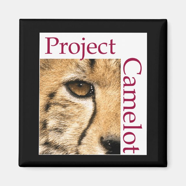 PROJECT CAMELOT FRIDGE MAGNET (Front)