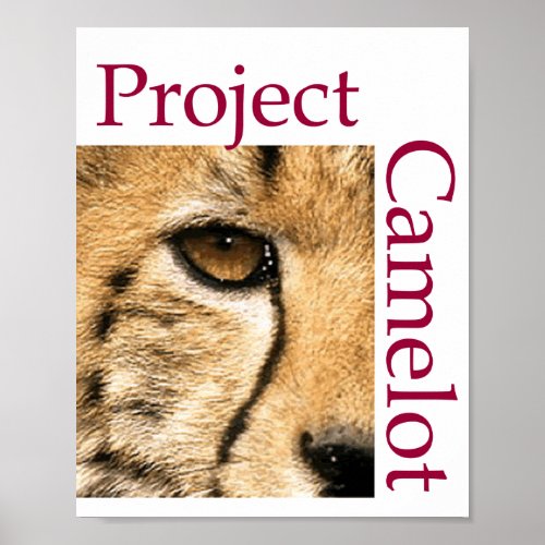 PROJECT CAMELOT Poster