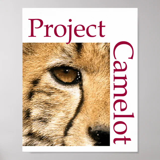 PROJECT CAMELOT Poster Zazzle