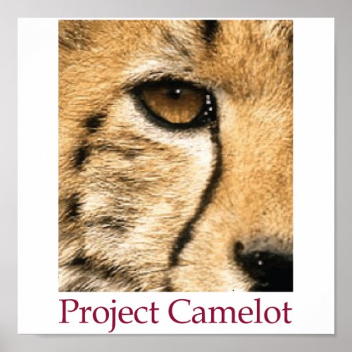 Project Camelot Poster