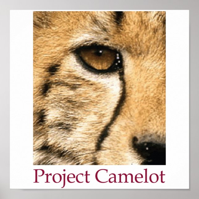 Project Camelot Poster (Front)