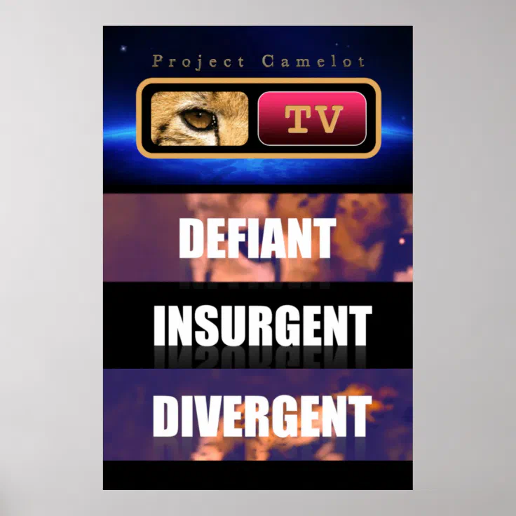 PROJECT CAMELOT POSTER Zazzle