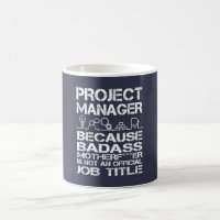PROJECT MANAGER