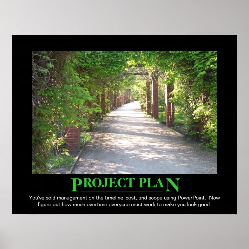 Project Plan _ just make it match PowerPoint Poster