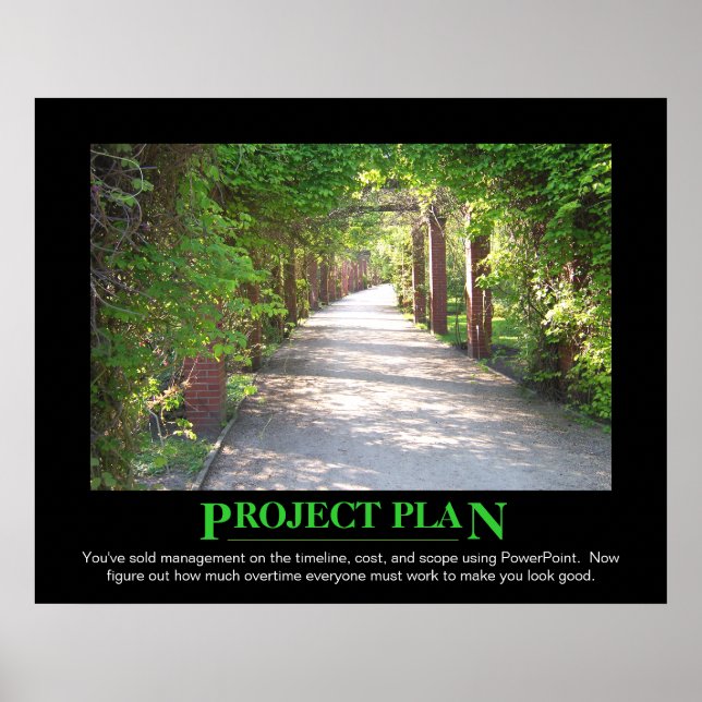 Project Plan - just make it match PowerPoint Poster (Front)