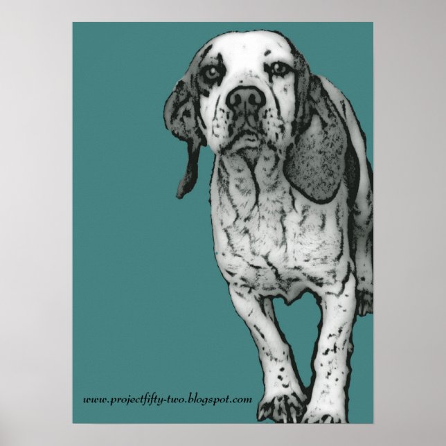 projectfifty-two poster (Front)
