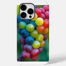 "ProMax Armor: Premium Protection for Your iPhone