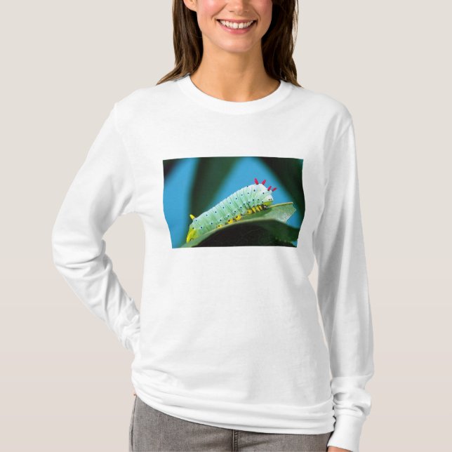 Prometheus Moth Caterpillar, Callosamia T-Shirt (Front)