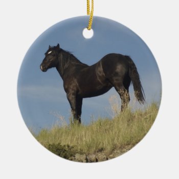 Promise Ceramic Ornament by 1drafthorse at Zazzle