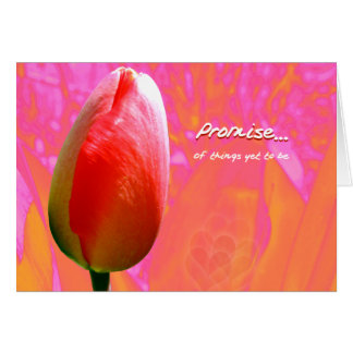 Promise II Cards