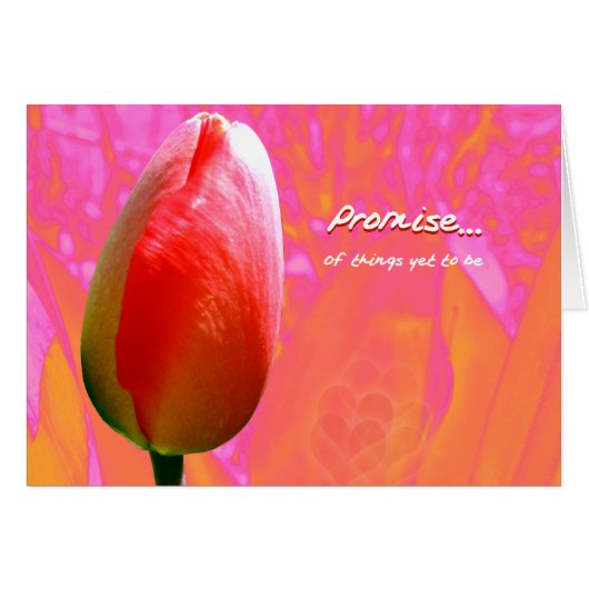 Promise II Cards (Front Horizontal)